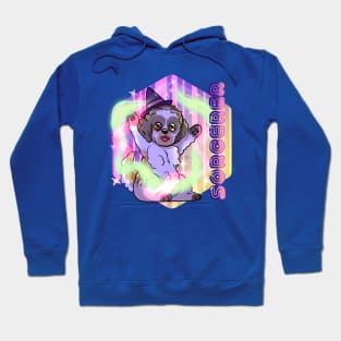 Dungeons and Dragons sorcerer dog Hoodie